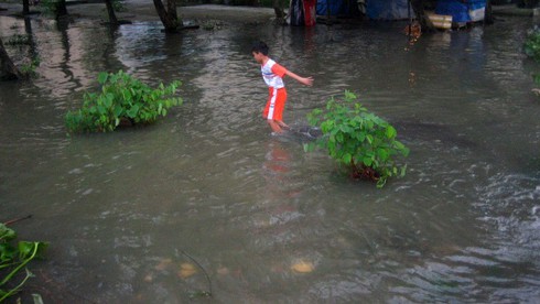 Những hiểm nguy rình rập người dân khi triều cường - ảnh 2