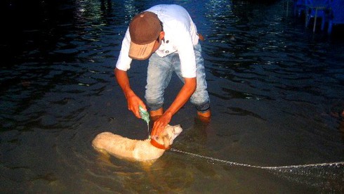 Triều cường kỷ lục biến Sài Gòn thành biển nước - ảnh 21