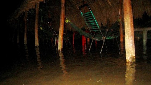 Triều cường kỷ lục biến Sài Gòn thành biển nước - ảnh 14