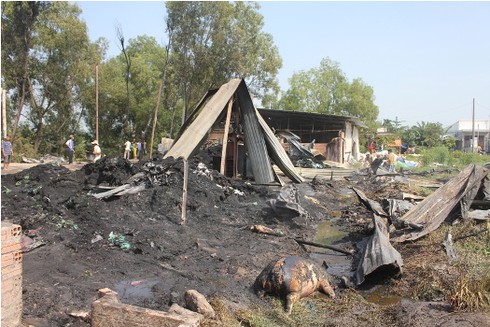 Hỏa hoạn lớn thiêu cháy hàng chục con heo - ảnh 1