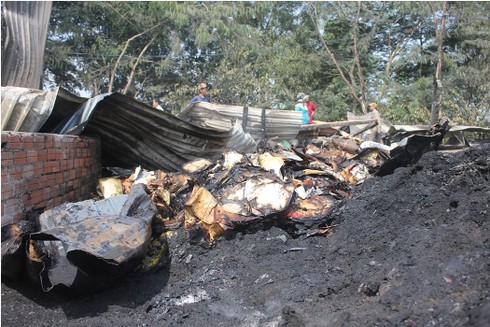 Hỏa hoạn lớn thiêu cháy hàng chục con heo - ảnh 6