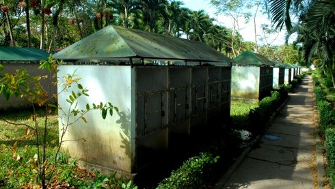 Thăm “Vương quốc” rắn độc tại Miền Tây - ảnh 8