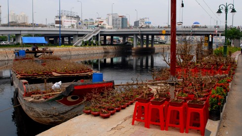 Không khí Tết đã tràn ngập Sài Gòn - ảnh 13