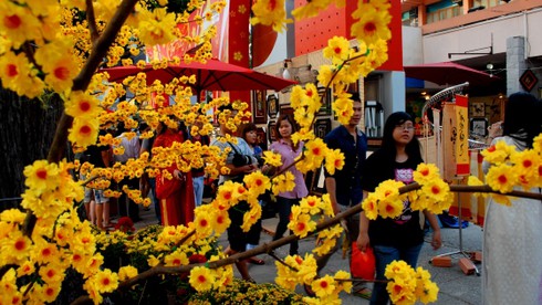 Không khí Tết đã tràn ngập Sài Gòn - ảnh 2