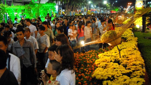 Chen chân ngắm đường hoa Nguyễn Huệ - ảnh 10