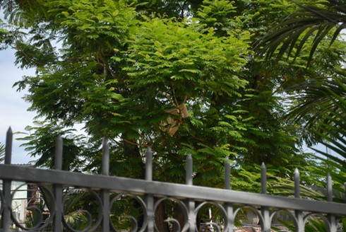 Hiện trường vụ nổ sập 3 ngôi nhà khiến 10 người chết - ảnh 9