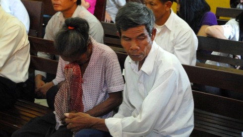 “Kỳ án vườn mít”: Hoãn phiên tòa lần 4, đề nghị triệu tập điều tra viên - ảnh 2