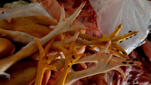 Bỏ mặc bạn, tài xế lái xe trốn khỏi chốt kiểm dịch - ảnh 3