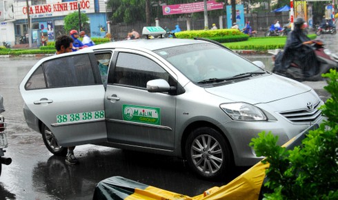 TP.HCM: Đề xuất tịch thu xe taxi vi phạm nhiều lần - ảnh 1