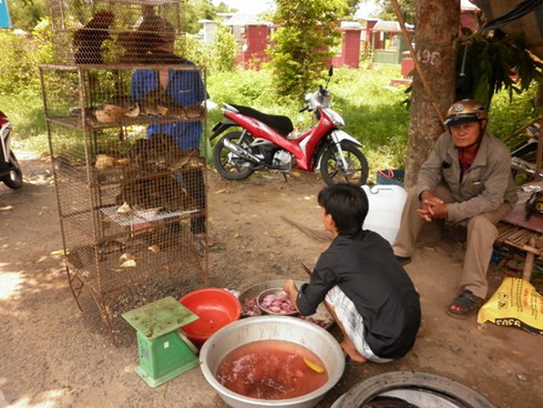 Cận cảnh chợ động vật hoang dã tại Củ Chi - ảnh 4