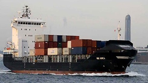 Cứu tàu nước ngoài bốc cháy trên biển - ảnh 1