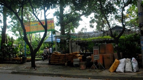 TP.HCM: Nhà hàng, quán nhậu “nuốt chửng” công viên - ảnh 12