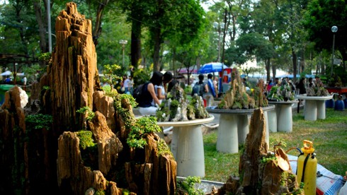 Mở cửa hội hoa xuân lớn nhất TP.HCM - ảnh 7