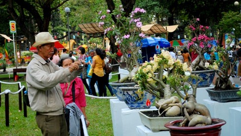 Mở cửa hội hoa xuân lớn nhất TP.HCM - ảnh 9