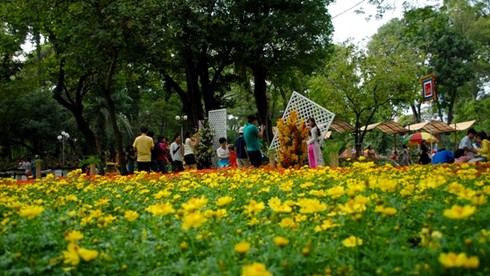 Mở cửa hội hoa xuân lớn nhất TP.HCM - ảnh 10