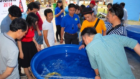 Mở cửa hội hoa xuân lớn nhất TP.HCM - ảnh 18