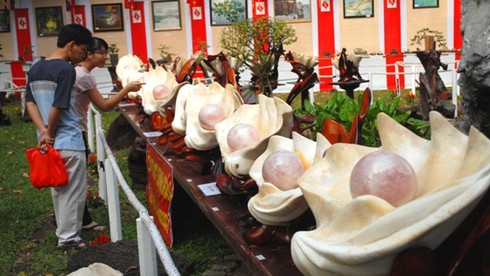 Mở cửa hội hoa xuân lớn nhất TP.HCM - ảnh 8