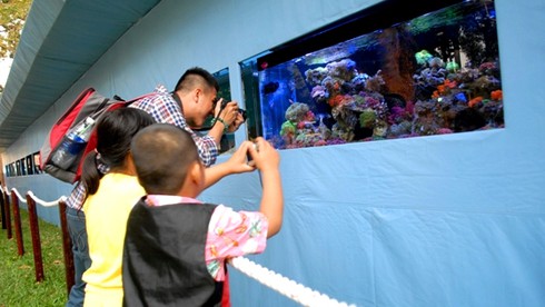 Mở cửa hội hoa xuân lớn nhất TP.HCM - ảnh 17