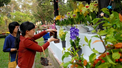 Mở cửa hội hoa xuân lớn nhất TP.HCM - ảnh 16