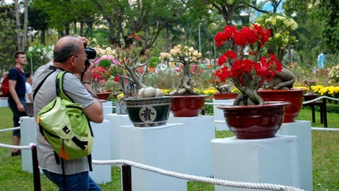 Mở cửa hội hoa xuân lớn nhất TP.HCM - ảnh 12