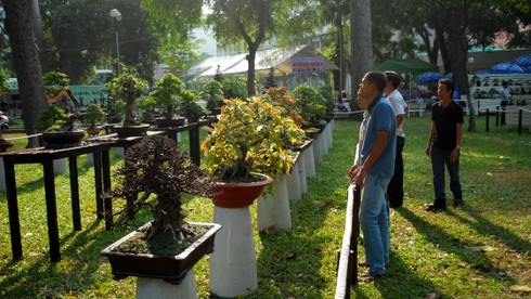 Mở cửa hội hoa xuân lớn nhất TP.HCM - ảnh 6