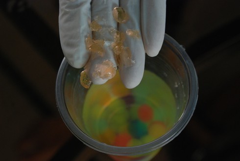 Ngộ độc hóa chất do chơi hạt nhựa nở “trân châu” - ảnh 3