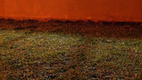 TP.HCM: Bé 5 tuổi tử vong vì rơi từ tầng 15 chung cư - ảnh 2