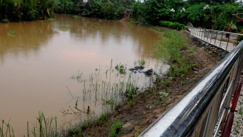 Chờ xử lý, một quả pháo 105 ly để bên đường đã bị lấy cắp - ảnh 1