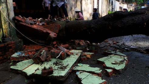 Gió giật mạnh, cây cổ thụ đổ ập vào nhà hàng - ảnh 7