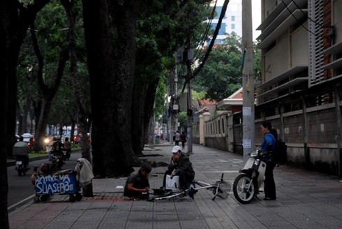 Ngắm hàng cây sẽ phải