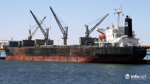 Tàu 59 ngàn tấn và 16 thủy thủ mất tích trên biển Vũng Tàu - ảnh 1