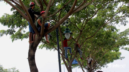 TP.HCM: Phát hiện xác người cạnh đầm lầy - ảnh 2