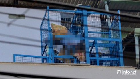 TP.HCM: Người đàn ông bị điện giệt chết trong thang máy - ảnh 1