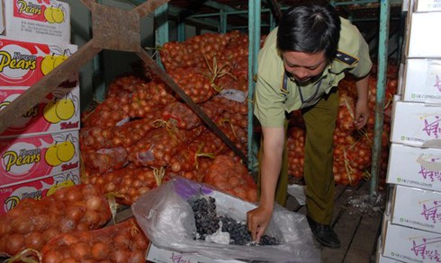 TP.HCM: Phát hiện hơn 20 tấn trái cây Trung Quốc không nhãn mác - ảnh 1