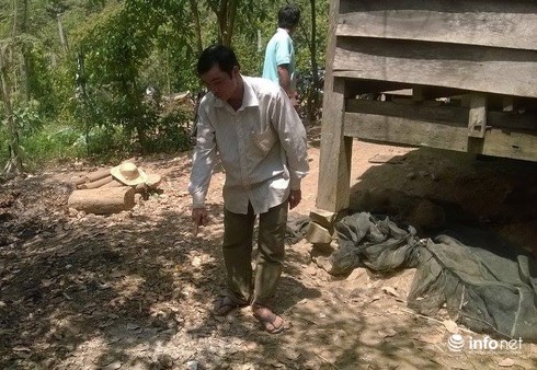Đắk Nông: Dùng cuốc đánh em trai tử vong - ảnh 1