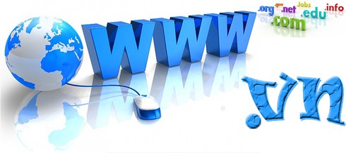 Nhà nước không có cơ chế bảo hộ cho tên miền “.vn” - ảnh 1