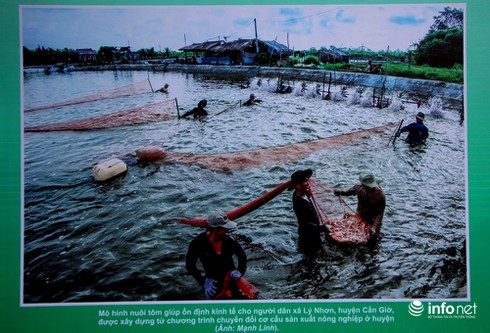 80 bức ảnh lịch sử đang được triển lãm tại đường Nguyễn Huệ - ảnh 18