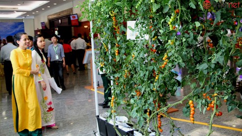 Tốc độ tăng GDP cả nước giảm, TP.HCM nhập siêu 1,6 tỷ USD - ảnh 1