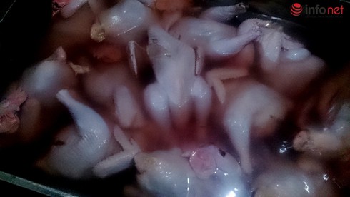 TP.HCM: Còn lò mổ gia cầm trái phép, 5 quận, huyện bị phê bình - ảnh 1