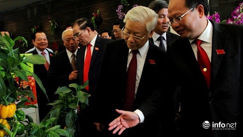 Ông Đinh La Thăng: Nông dân phải làm giàu được từ nông nghiệp công nghệ cao - ảnh 1