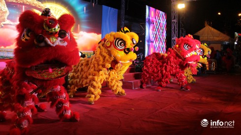 TP.HCM: Hơn 150 gian hàng quy tụ trong Tuần lễ Đông y năm 2017 - ảnh 5