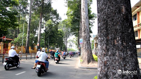 Đường Đinh Tiên Hoàng thành Đại lộ Lê Văn Duyệt trên Google Maps - ảnh 7