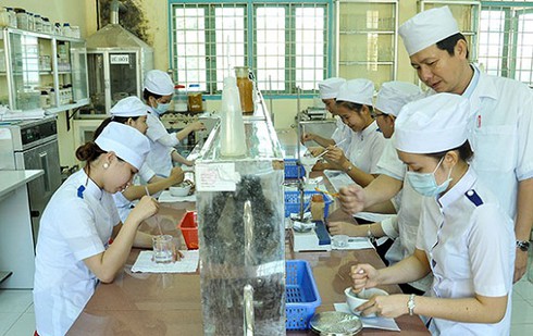 Cà Mau: Đào tạo nguồn nhân lực đồng bộ để tạo động lực phát triển bền vững - ảnh 2