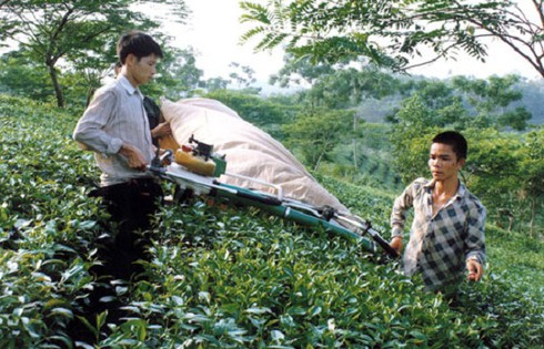 Phú Thọ triển khai cụ thể hóa Nghị quyết Đại hội Đảng bộ tỉnh lần thứ XVIII - ảnh 3