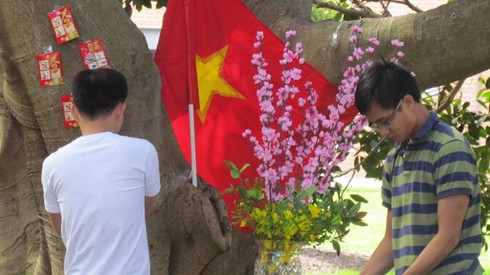 Chuyện sinh viên Việt ăn lòng lợn, tiết canh ở Úc - ảnh 4