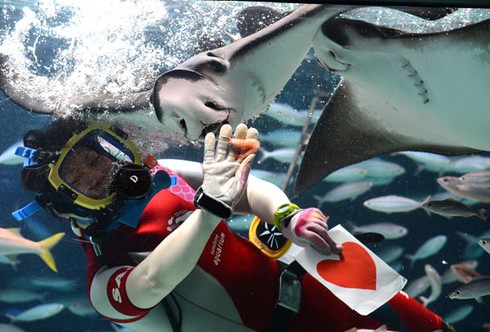 Thế giới chuẩn bị đón lễ Tình nhân như thế nào? - ảnh 4