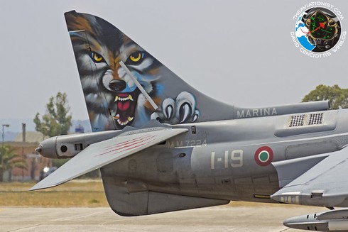 Ngắm nghía phi đội Harrier của Italia tập trận chiến đấu - ảnh 11