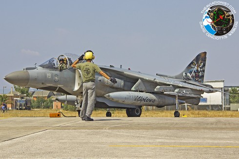 Ngắm nghía phi đội Harrier của Italia tập trận chiến đấu - ảnh 5