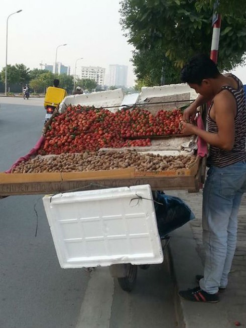 Dâu tây Trung Quốc mác Đà Lạt tràn ngập thủ đô - ảnh 1