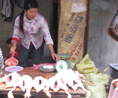 Ăn cánh gà nhiều chị em dễ mắc u xơ? - ảnh 2